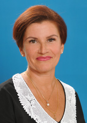 Лисицына Светлана Александровна Лисицына Светлана Александровна